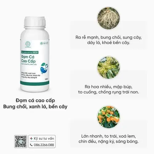 Đạm cá hữu cơ cao cấp