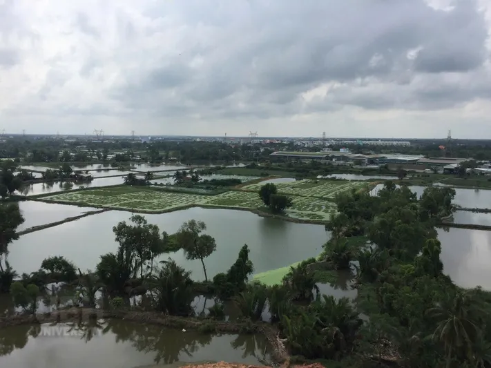 Mặt bằng đẹp khi đã bơm cát thử nghiệm