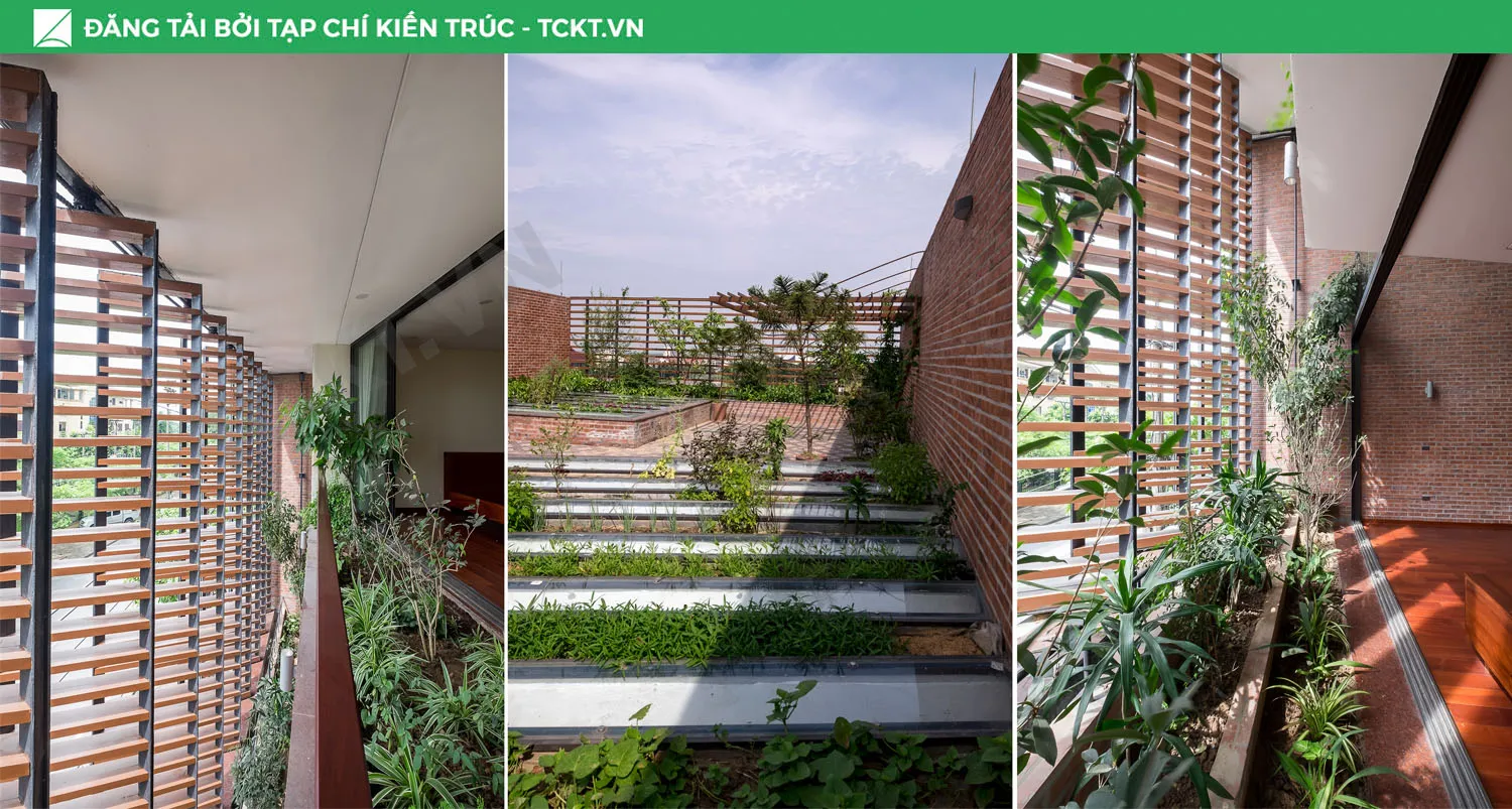 Không gian chuyển tiếp đa tầng với thảm thực vật xen kẽ