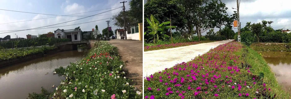 Những tuyến đường hoa tại Hải Hậu, Nam Định do Hội phụ nữ huyện và xã chủ trì làm "mềm" những con đường bê tông khô cứng