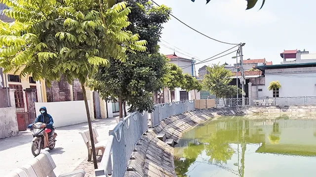Bê tông hóa đường đi vào Trung Thanh tại xã Hữu Hòa, huyện Thanh Trì làm cho cảnh quan nông thôn "khô cứng"