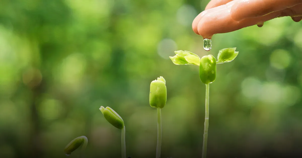 Thách thức lớn nhất là xây dựng tiêu chuẩn đô thị xanh rõ ràng và chống greenwashing
