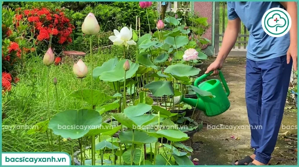 Ủ đạm cá