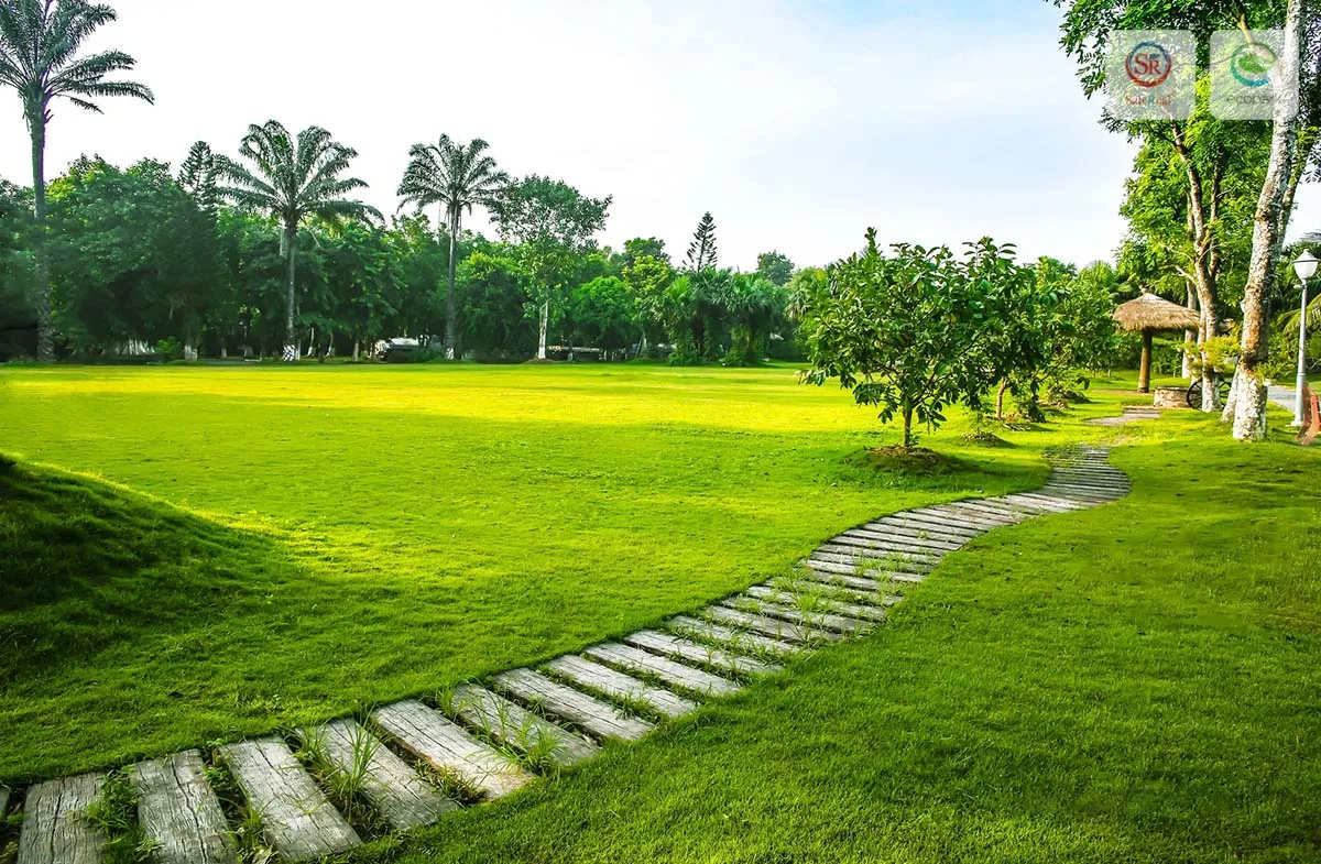 canh quan xanh tai ecopark hung yen