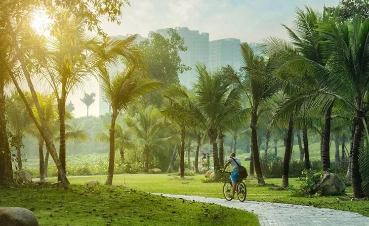 Không gian xanh đô thị giúp giảm thiểu tác động của nhiệt độ cao đến sức khỏe