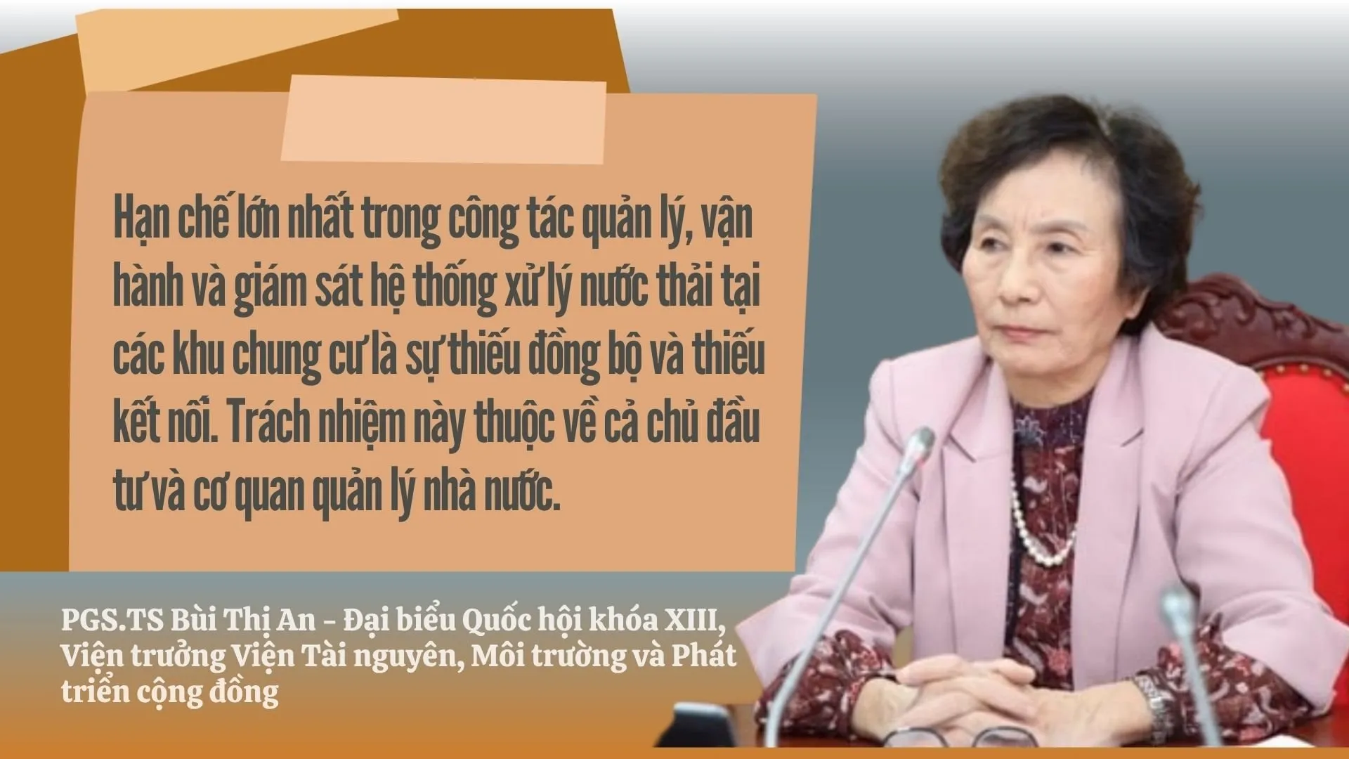 Chuyên gia môi trường PGS.TS Bùi Thị An