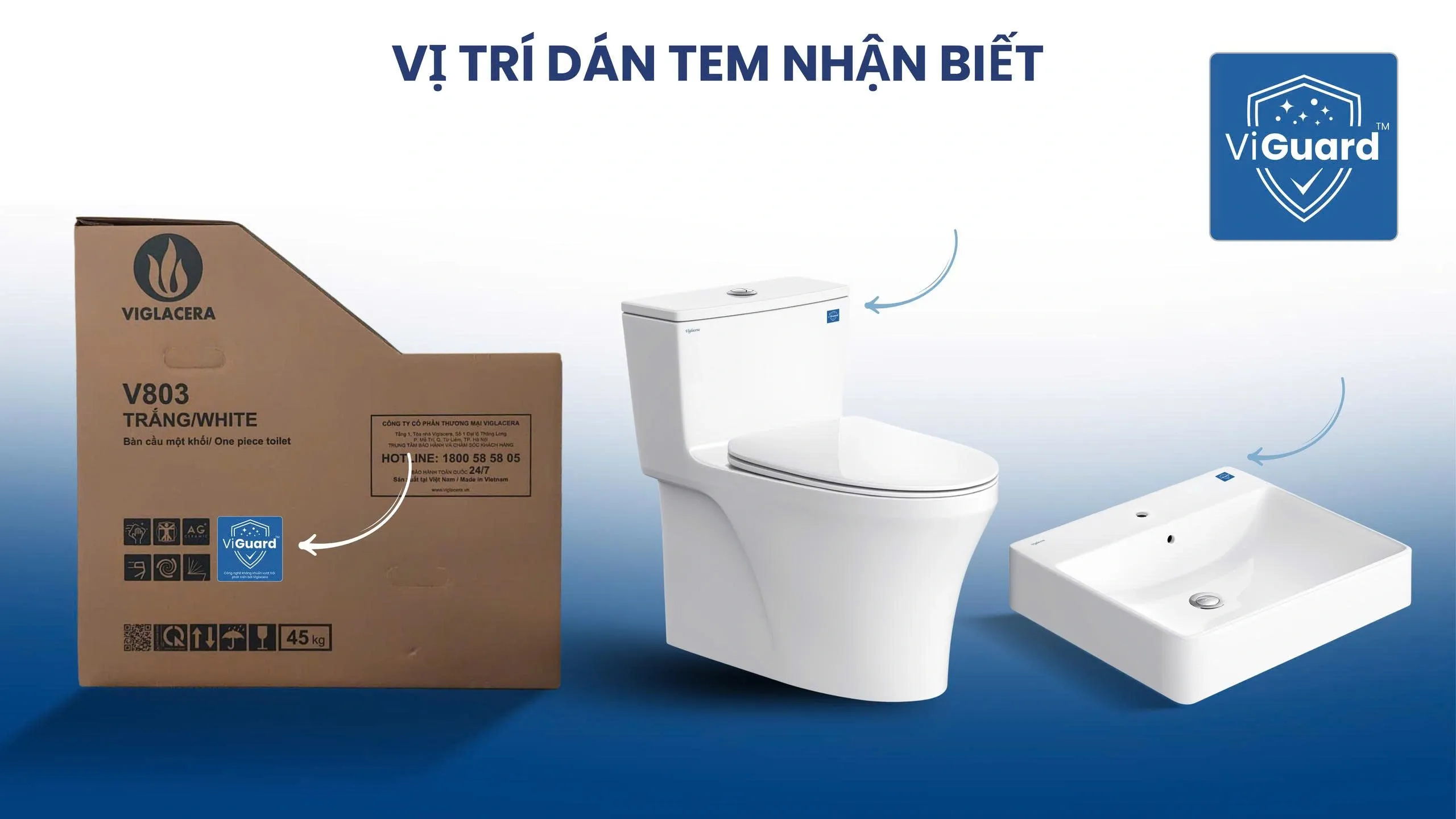 Tem nhận diện công nghệ kháng khuẩn ViGuard chính hãng trên sản phẩm Viglacera