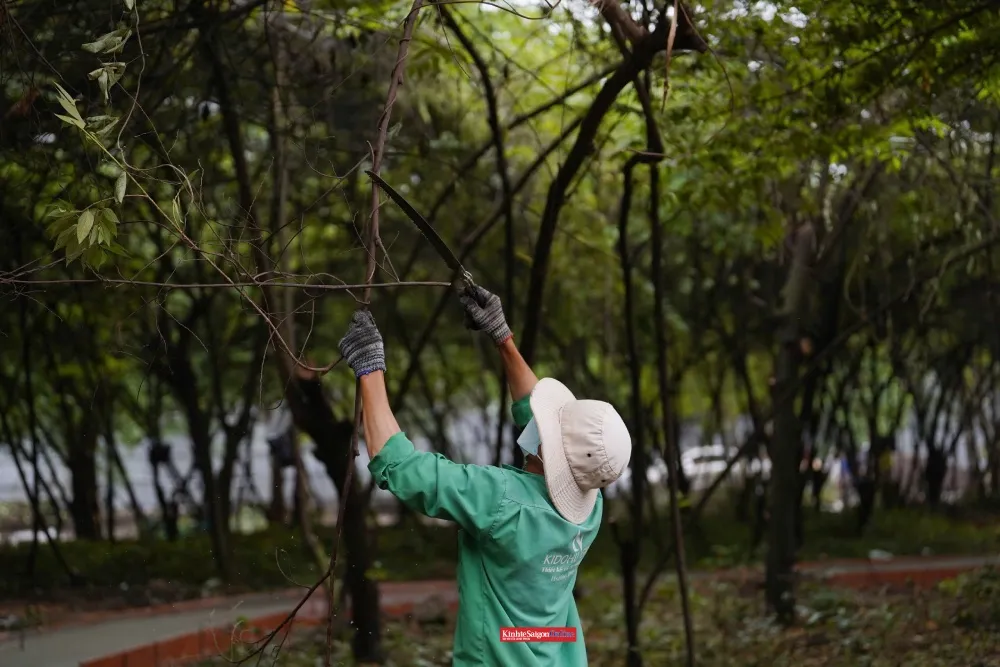 Công nhân đang dọn dẹp mặt bằng, phát quang cỏ dại, chuẩn bị cho công viên và vườn hoa Tết