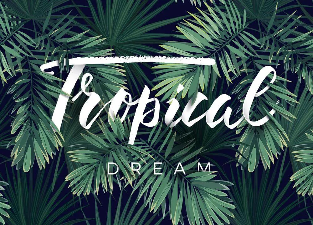 thiết kế nội thất tropical