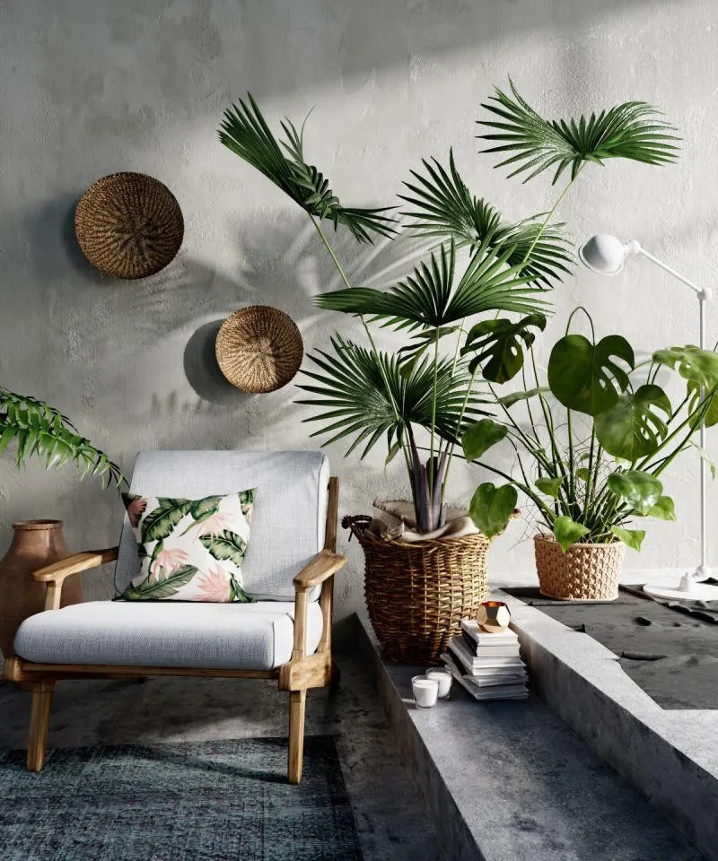 phòng khách phong cách thiết kế nội thất tropical