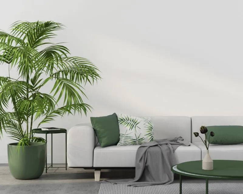 phòng khách phong cách thiết kế nội thất tropical
